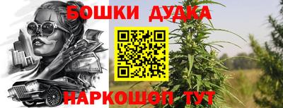 не бодяженный Гатчина