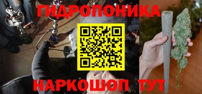 ГАЛЛЮЦИНОГЕННЫЕ ГРИБЫ Гай