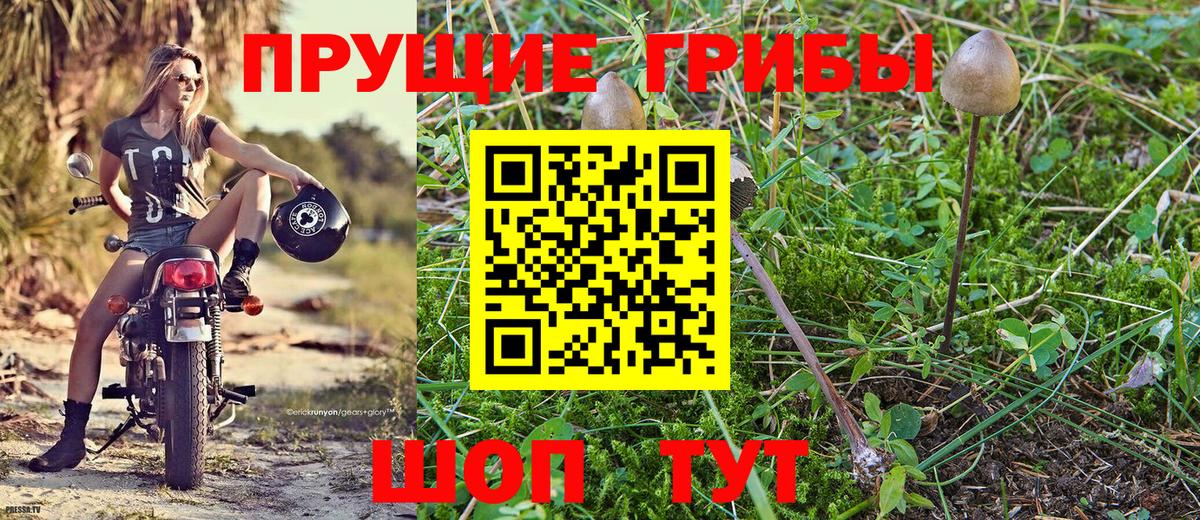 Галлюциногенные грибы мухоморы  Вход с VPN  Бахчисарай  Псилоцибиновые грибы GOLDEN TEACHER 